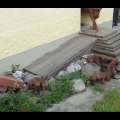 DSC01299